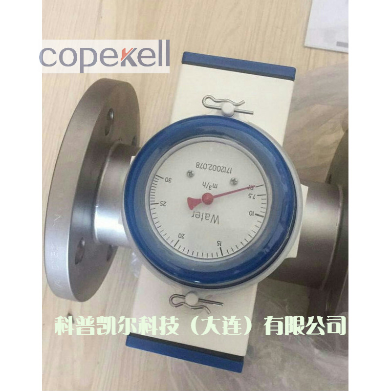 克罗尼流量开关DW182  DN15-50科隆流量计