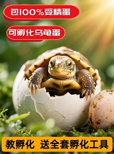 �������ɷ������b�����������״���ܾ�����������ͯ��һ���Y��