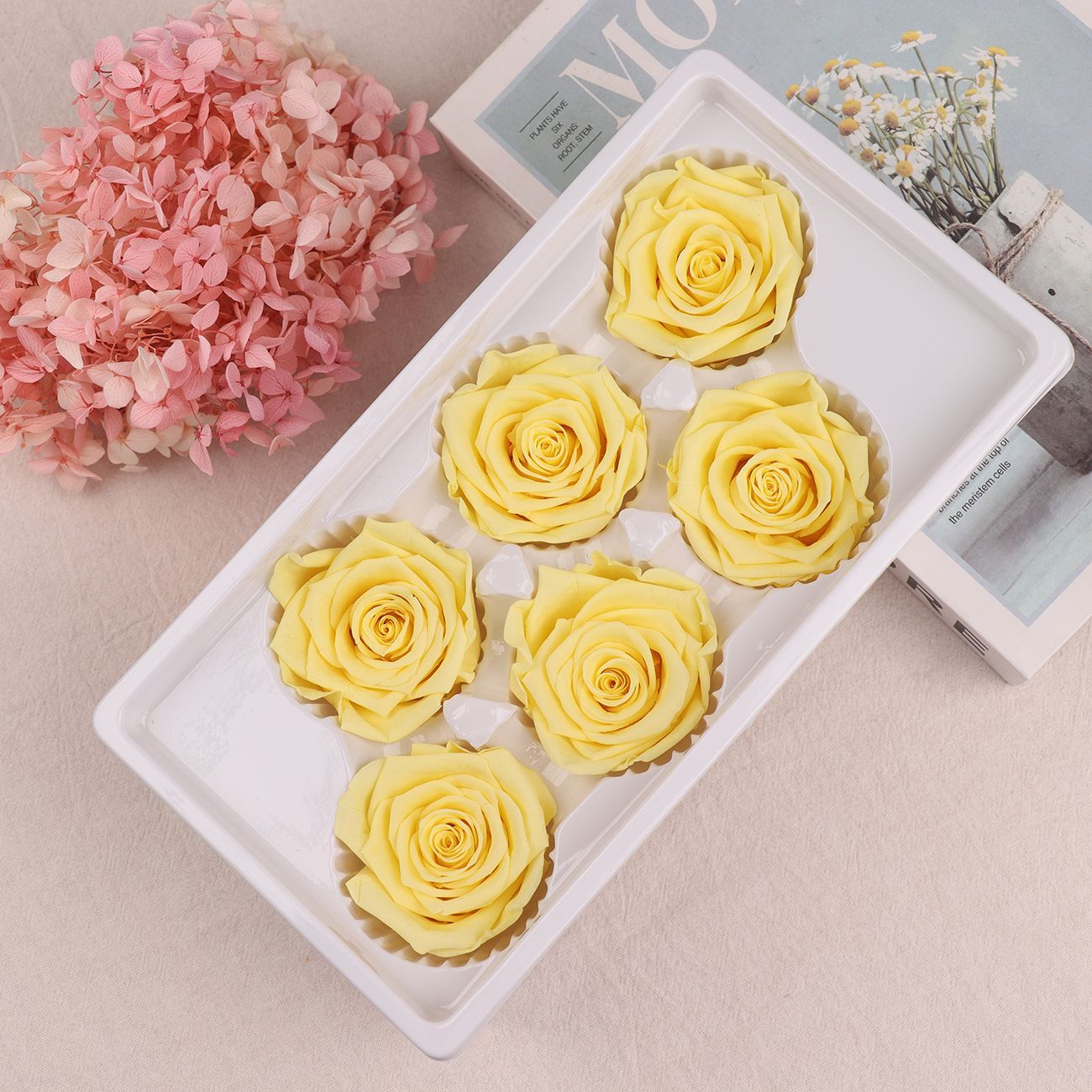 Rosa Preservada A+ de 5-6 cm, Flor Real Seca, Regalo DIY, Venta al por Mayor de Yunnan, Ramo para el Día de la Madre, 520