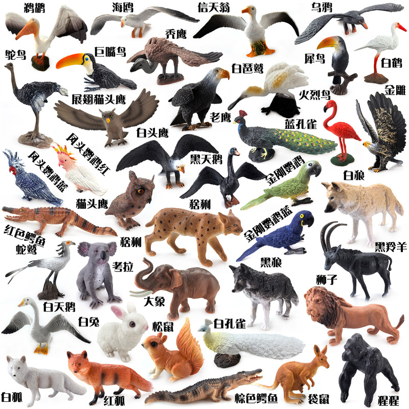 Tyrannosaurus Rex Triceratops Lion Elephant White Rabbit Butterfly Beetle Great White Shark Dinosaur Animal Insect Marine Birds