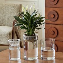创意水培植物亚克力花瓶透明水养绿萝花盆容器插花瓶圆形水培器皿