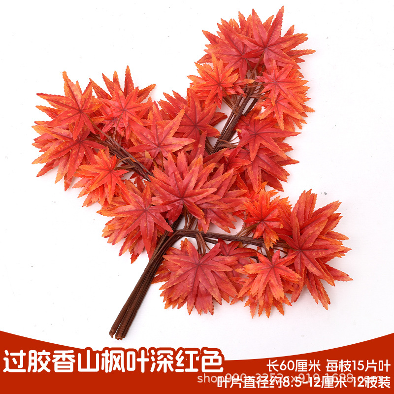 접착된 향기로운 산 단풍잎 진한 빨간색(가지 12개)