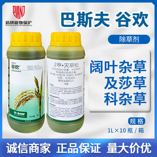 ��˹��Țg�������Ȝ����ˮ��ֱ����������~�s��ɯ�ݳ��݄��rș