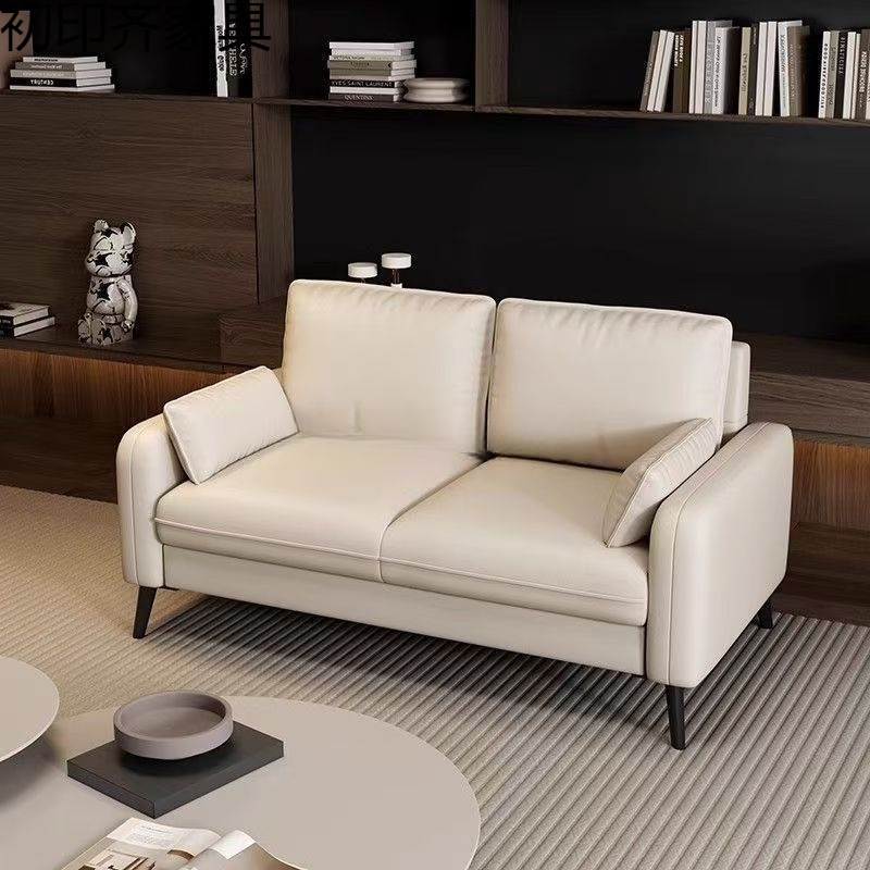 Small Apartment Sofa for Home Living Room, Bedroom, Rental Room, Clothing Store, Simple Modern Light Luxury High-End Small Sofa