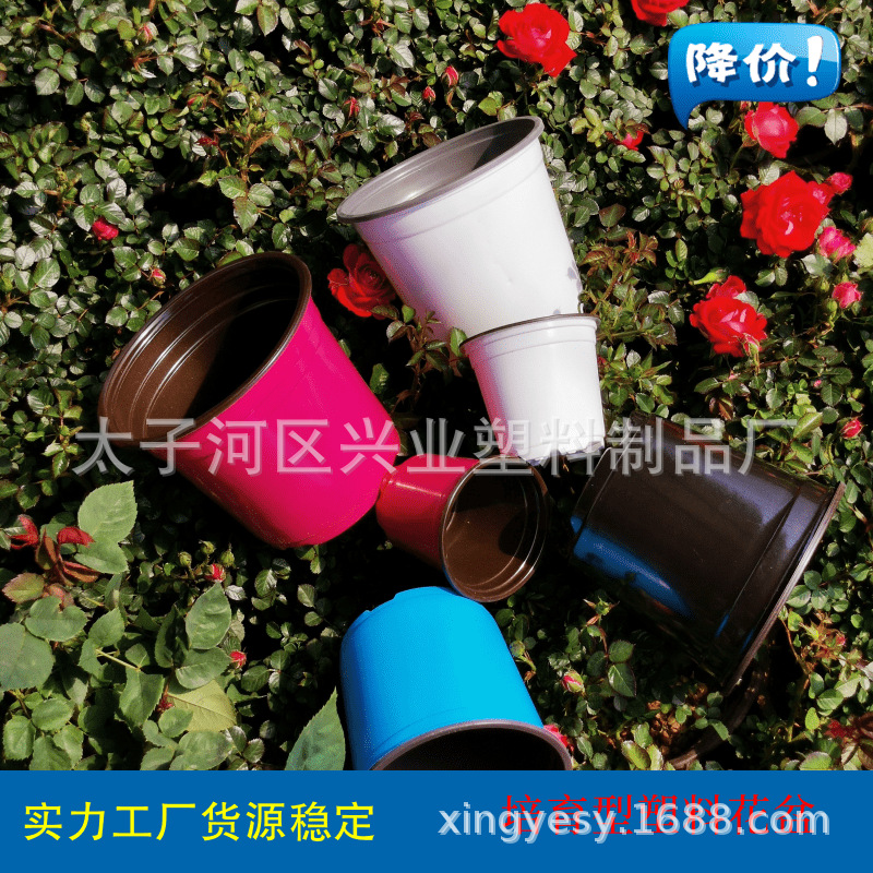双色育苗花盆PP双色花盆白色塑料花盆多肉育苗盆黑色塑料花盆种植