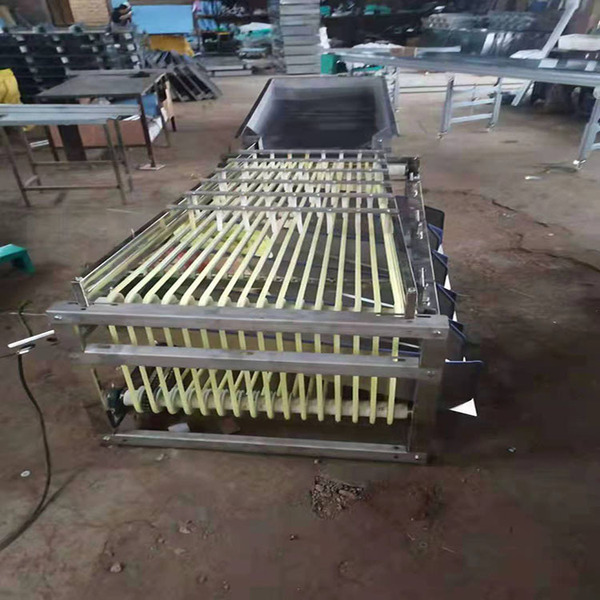 Household belt-type fruit sorting machine