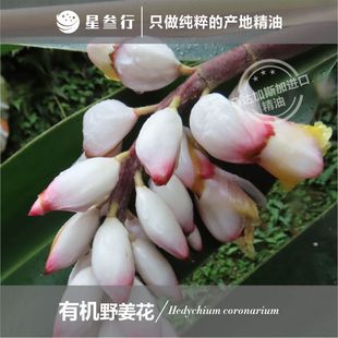 �ЙCҰ�������� �R�_��˹�Ӯa����޹��������Ħ�o�w����ԭ�����l