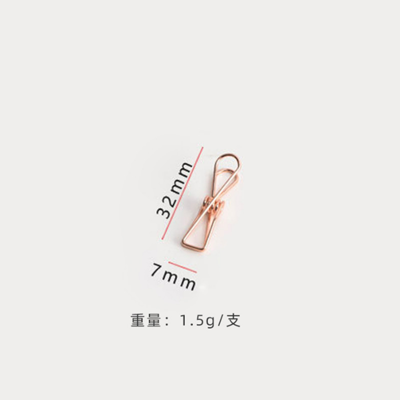 일반 작은 물고기 클립-스몰 사이즈