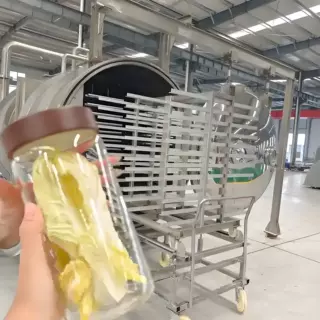 厂家直销菠萝蜜真空冻干机 柠檬苹果草莓蓝莓香蕉冻干设备