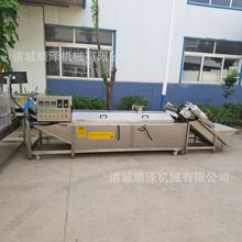 龙虾漂烫机 湖北潜江小龙虾成套清洗蒸煮挂冰设备流水线