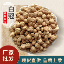 SҬF؛Vޢ偵{lßu{ζƷ{Ʒ