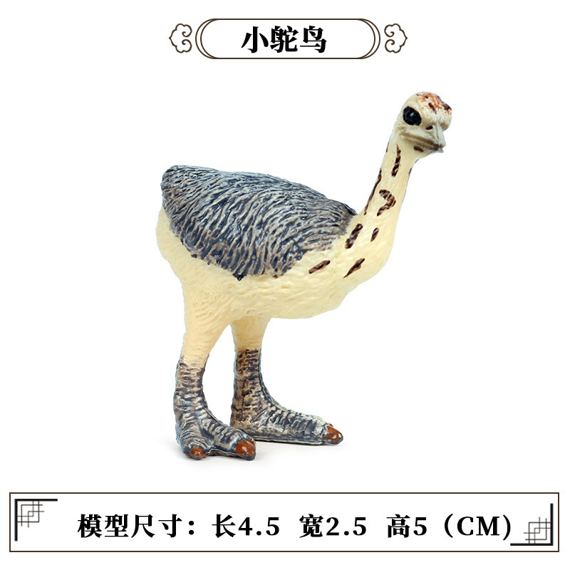 Little ostrich [0.014kg]