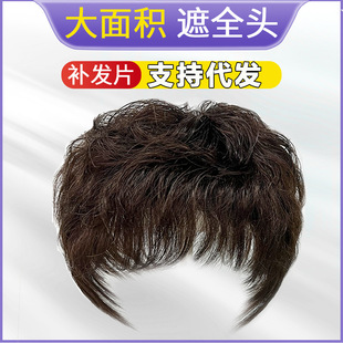 Women's Wig Top Short Curly Hair Mother's Middle-aged and Old People's Wig Real Hair Covering White Hair Simulation Lightweight Wig for Women