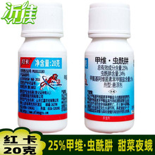 �t�� 25%�׾S�x���� �׾S�} �߲˲����xС�˶���z�x���������x��