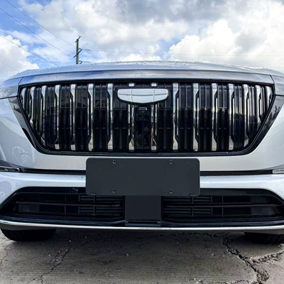 Automobile anti-insect net – Geely Boyue L front grille