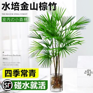 ɽFˮֲӾGֲ͏d҃ؔBլˮ