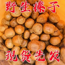 新货大兴安岭野生零食坚果香酥脆熟火榛子笨炒手拍水漏原味