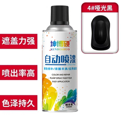 Avtomobil boya qələmləri — Car Graffiti Wall Black and White - 1can-self-painting-4-matte-black