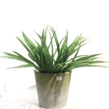 ��������21Ƭ�m���ݵ��m���廨�m���~��ˮ���[��ޥ�m�~�bGֲ