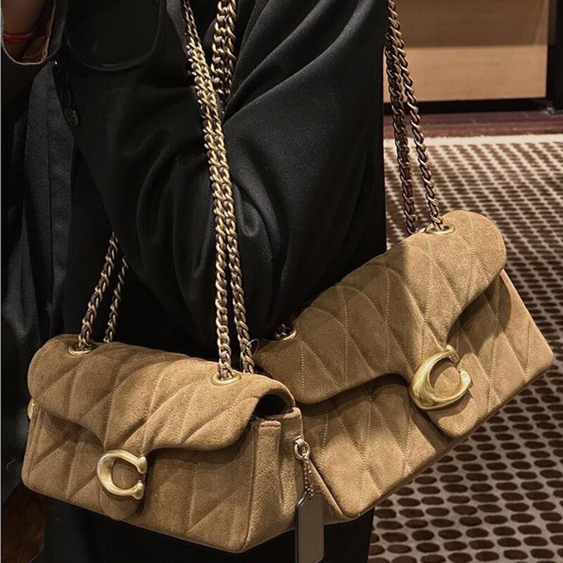Light luxury Chanel-style tabby bag for women, 2026 new model, genuine leather shoulder bag, underarm bag, crossbody chain bag, Dionysus bag Light luxury Chanel-style tabby bag for women, 2026 new model, genuine leather shoulder bag, underarm bag, crossbody chain bag, Dionysus bag
