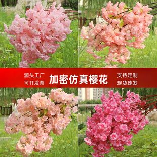 ����ѻ����ϻ�c�bٙѻ�֦�������T�͏d�쾰�ѻ�֦�߼����滨