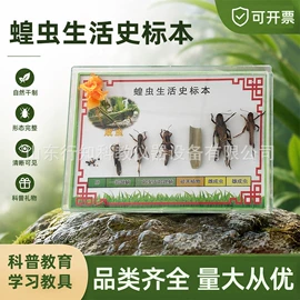 教学仪器;数理教学器材;教学演示用品