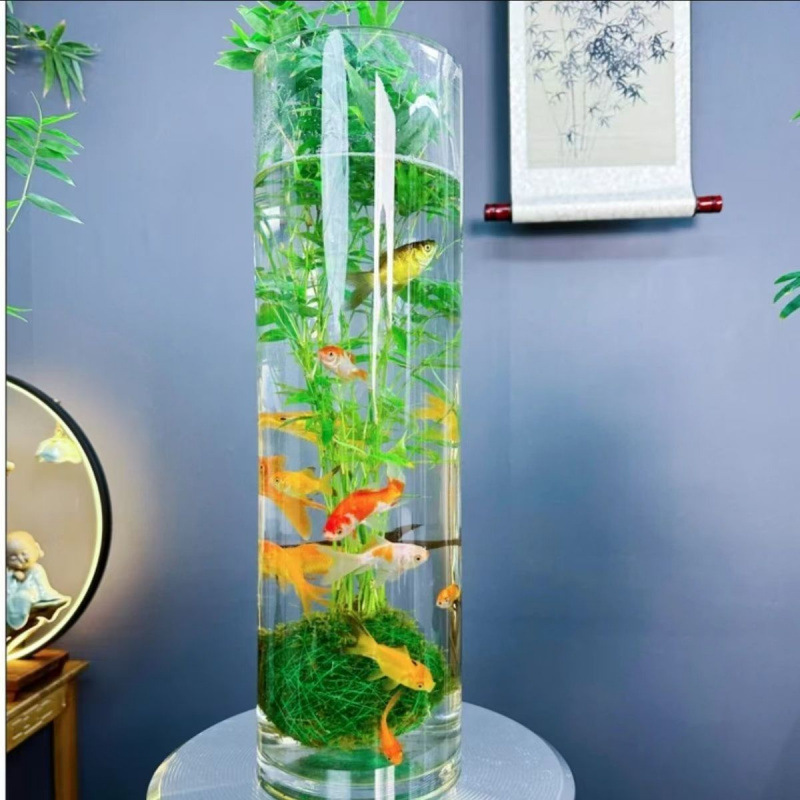 米竹水培鱼缸玻璃瓶带根苔藓球植物室内禅意盆栽凤尾竹观音竹竹子