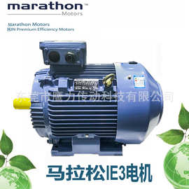 marathon（美国马拉松 ）HJN1(IE3)系列高效三相异步电机