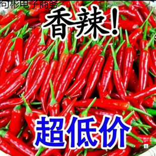 С������ ���r���l �Fժ����������Ƥ���t����  �r�ҳ��콷2500��