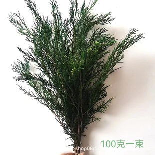 云南永生松柏枝圣诞树装饰材料DIY手工花环插花居家摆件批发-阿里巴巴