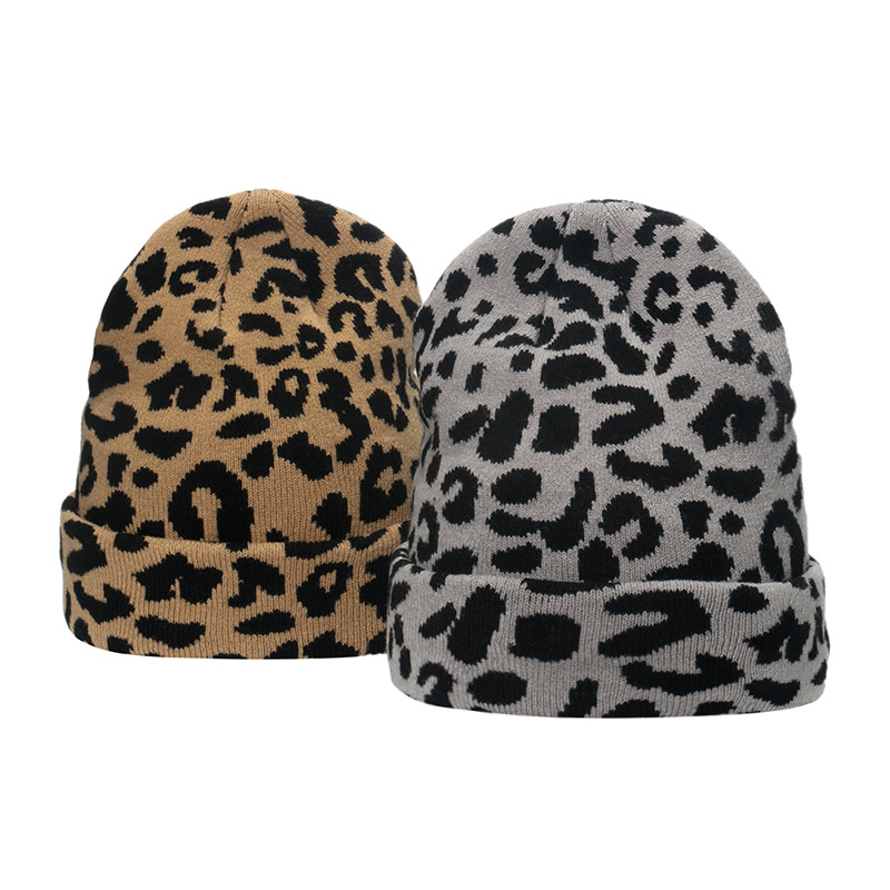 2023 Autunno e Inverno Jacquard Acrilico Cappello di Lana ins Casual Versatile Studente Sci Leopardo Cappello Lavorato A Maglia delle Donne_voghion.com