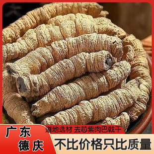 �������ș�İ�ꪾ��x��о������о�������i���ɐ�ض����ݾ�