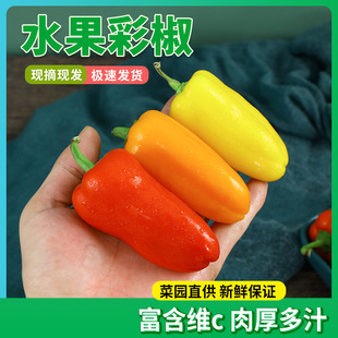 ���l����ˮ���ʽ��F�����r���������ˮ����ɳ����ɫˮ����