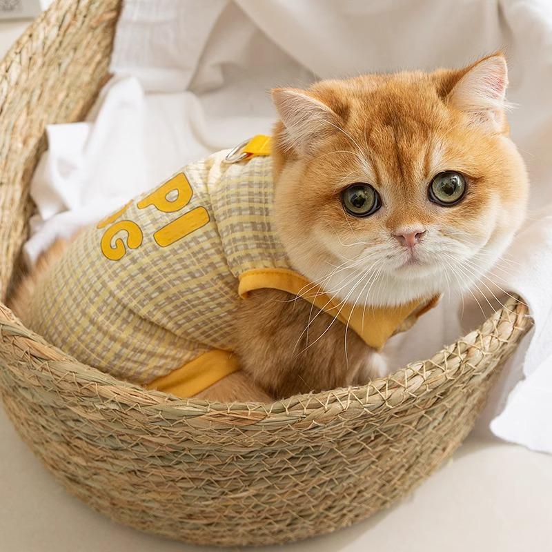 Primavera y verano de mascotas gatos jacquard cuello a cuadros puede traer chaleco pequeño gato azul muñeca para evitar la pérdida de pelo ropa