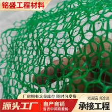 ���Sֲ���Wɽ�wֲ�ݾG�������W�ӵ������ӽ��o�¹������Sֲ���W