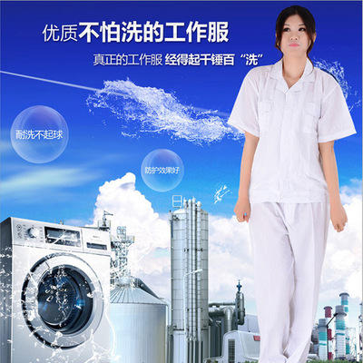 Shichiku Shanghai factory goods in stock supply business affairs Occupation coverall Long sleeve Short sleeved shirt shirt