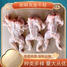 【牛蛙】批发特大冷冻牛蛙肉 速冻烧烤火锅食材去皮去内脏牛蛙