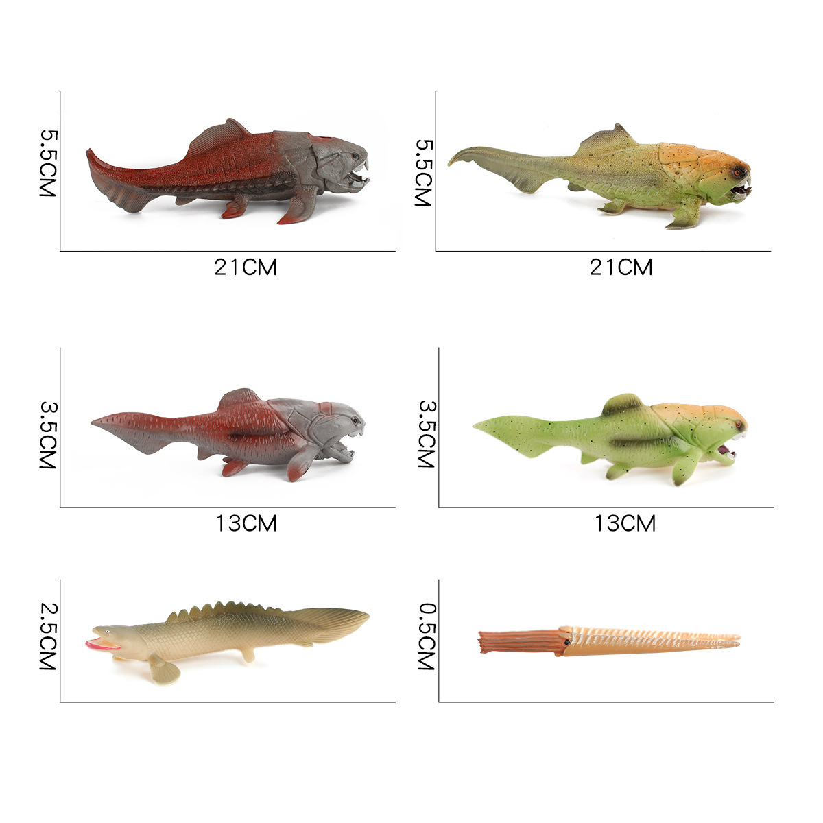 Simulación océano antiguo modelo biológico pescado de Deng loro tornillo crisantemo piedra decoración juguete transfronterizo Amazon
