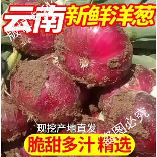 ��Ƥ���[���r�r���ԷN�A�[�߲�����ˮ�����[�^������ˬ�{ζ