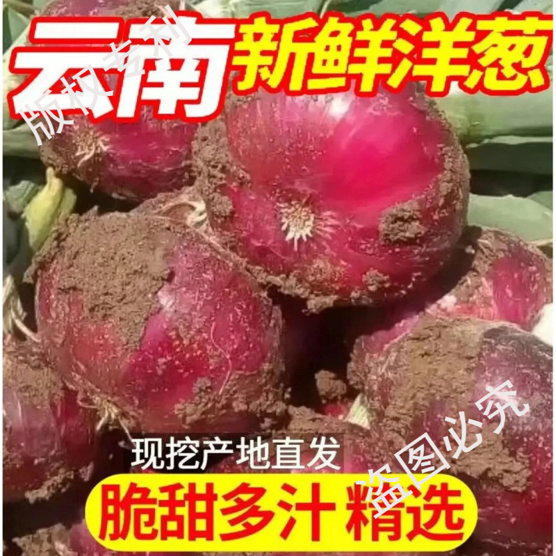 Purple-Skinned Onions, Fresh Farm-Grown Onions, Vegetables, Raw Fruits, Onion Heads, Spicy and Crispy Seasoning