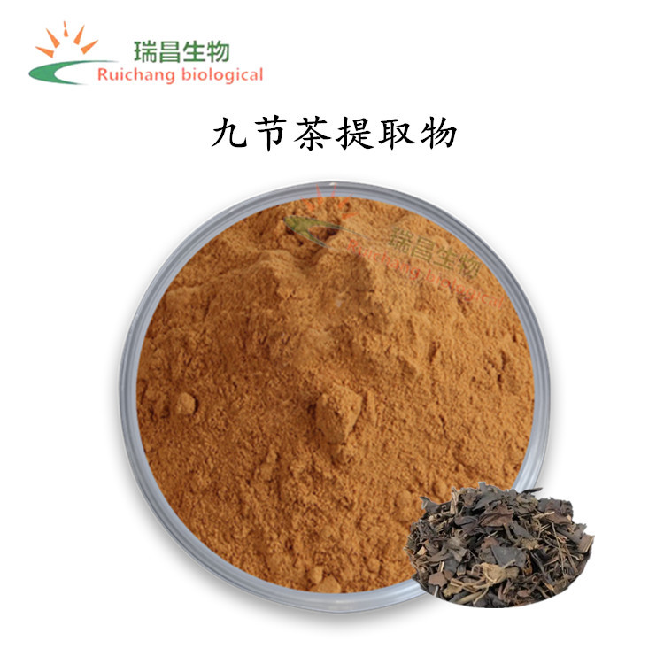 九节茶提取物 水溶性 草珊瑚/肿节风提取物  比例萃取 现货直供