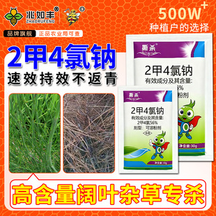 �����S56%2��4�ȼ{�������ȼ{���׹��@��~������Ƽ�sţ��ˮ����