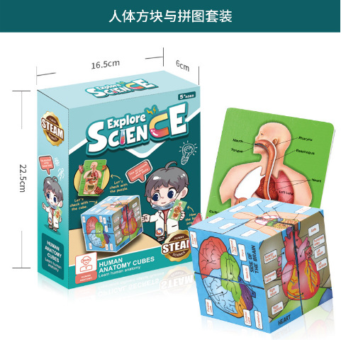 【人体方块与拼图套装】