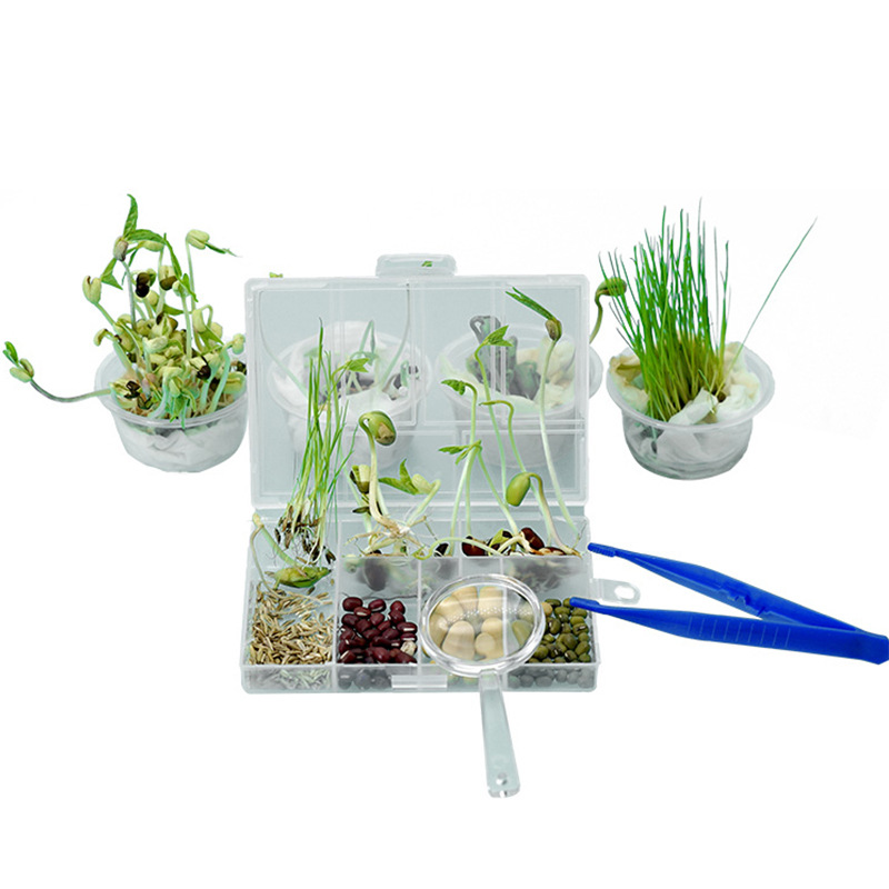 Tecnología pequeña producción semilla germinación Tecnología pequeña producción niños alumnos de Primaria ciencia y educación experimental juguetes interesantes materiales educativos