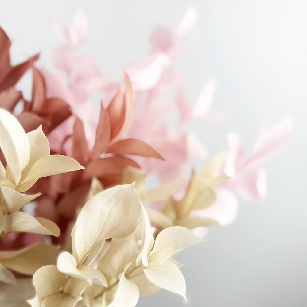 Imortales flores de naranja importación de alta calidad flores verdaderas flores secas ramo de flores DIY día de San Valentín flores hechas a mano fábrica de Yunnan al por mayor