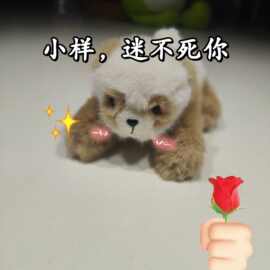卡通动物网红熊猫啪啪圈毛绒玩具娃娃手环拍拍圈公仔