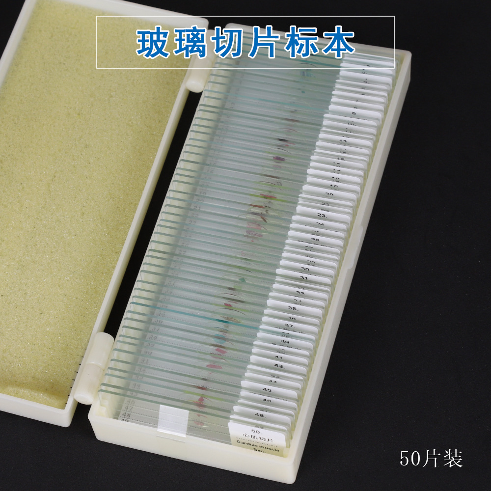 Datyson生物标本切片50片中英双语标识塑料盒包装2X0025B