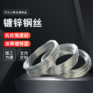 �S�����l����\䓽z�K���Ѽ�䓽z����̖�����r�÷Nֲ�����\䓽z