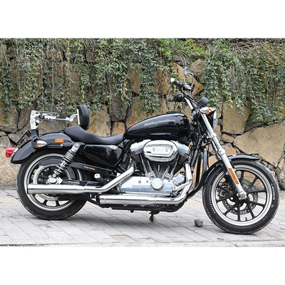 driver and passenger backrest, lumbar, Motorcycle tail