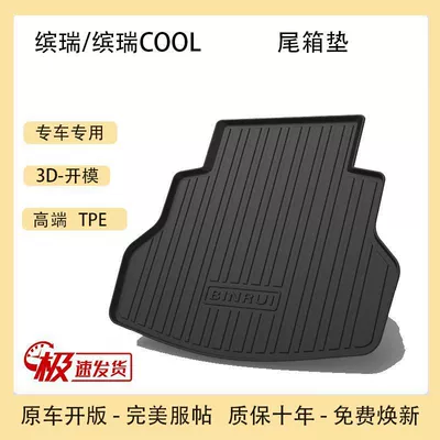 Trunk Mat, Trunk Mat - 20-24-models-of-binruibinrui-cool-without-mesh-pocket-on-the-left-tpe-upgraded-model